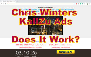 Chis Winters Kallzu Ads