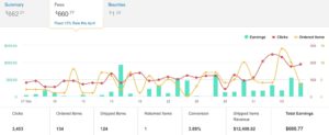 Amazon Affiliate Success