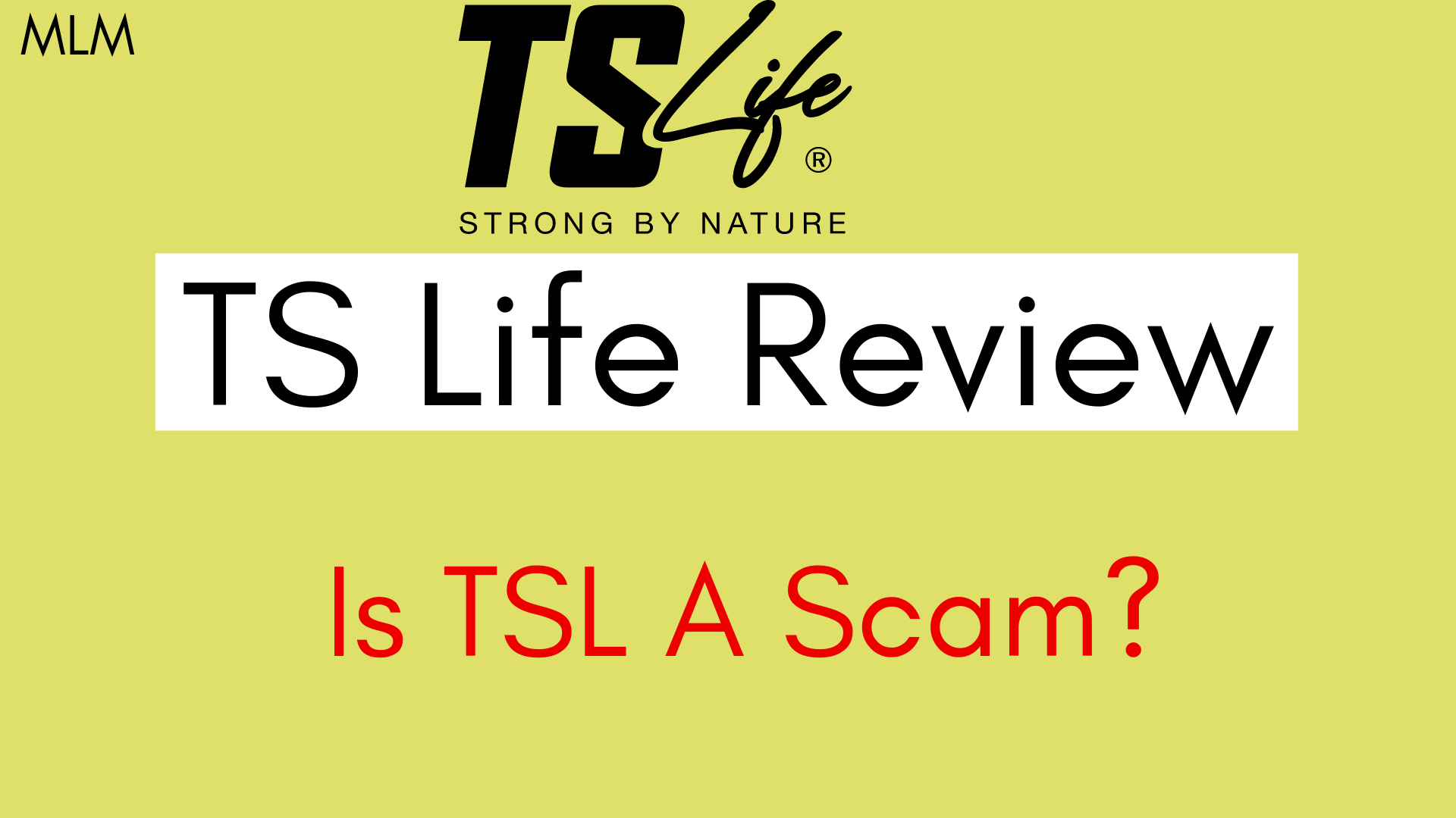 TS Life Review