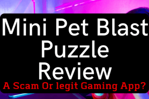 Mini Pet Blast Puzzle Review
