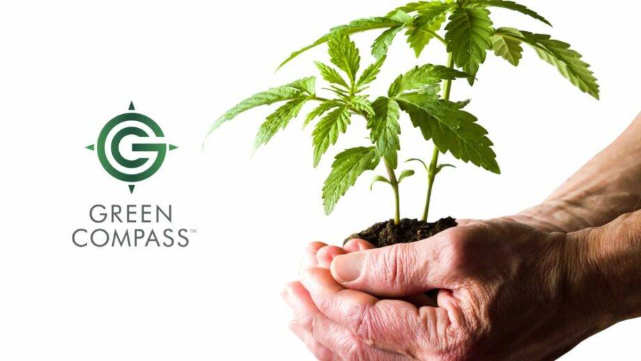 Green Compass Review Legit MLM or SCAM?