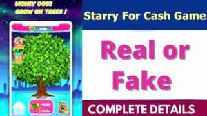 Starry For Cash App review