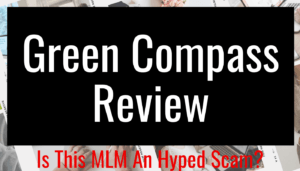 Green Compass Review