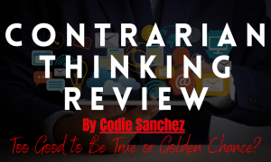 Contrarian Thinking Review